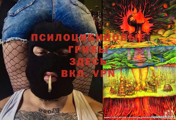 твердый Аркадак