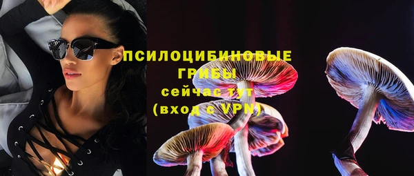 бошки Арсеньев