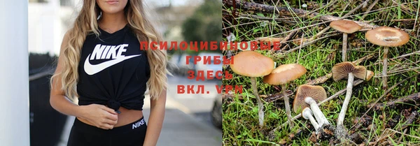 бошки Арсеньев
