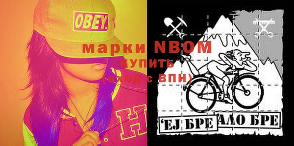 твердый Аркадак