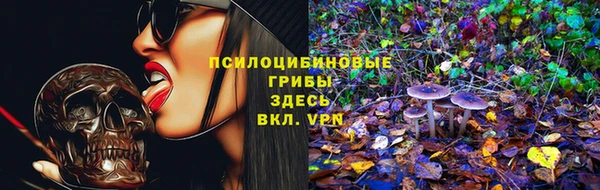 твердый Аркадак