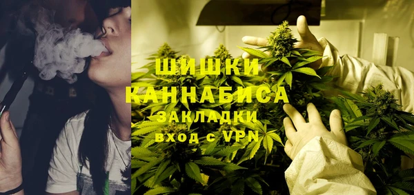 твердый Аркадак
