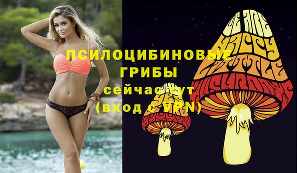 наркотики Алексин