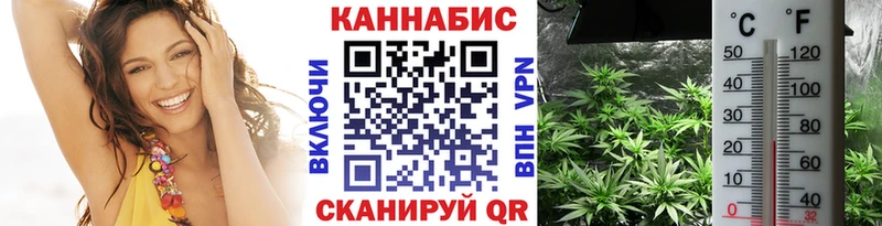 Шишки марихуана ГИДРОПОН  купить закладку  Кизел 